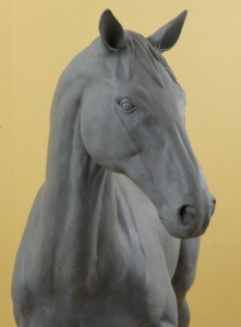 Horse Model 1