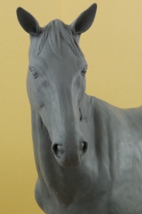 Horse Model 2
