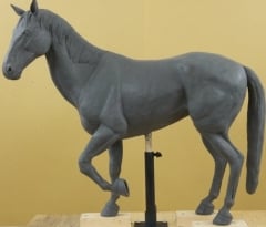 Horse Model 20c