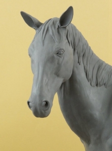 Horse Model 3