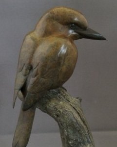 Kookaburra-1 4c